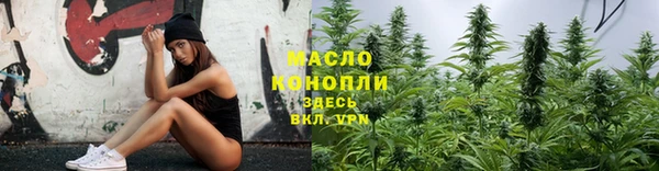 сатива Вяземский