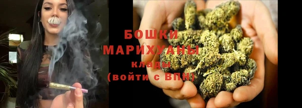 сатива Вяземский