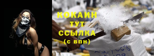 сатива Вяземский