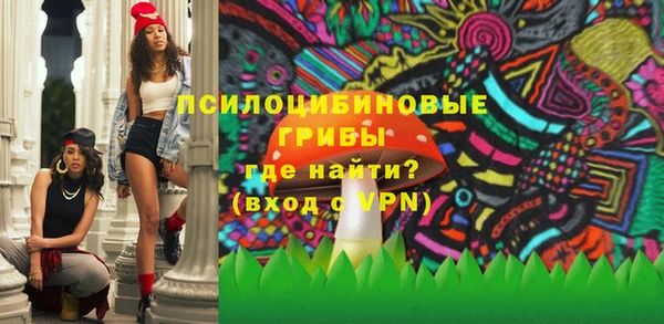 сатива Вяземский
