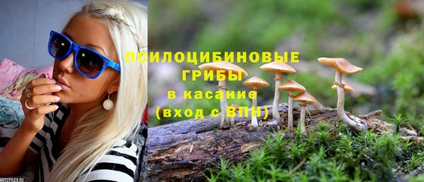 spice Вязьма
