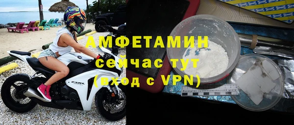 сатива Вяземский