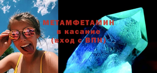 сатива Вяземский