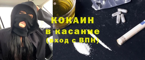 сатива Вяземский