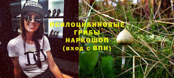 сатива Вяземский