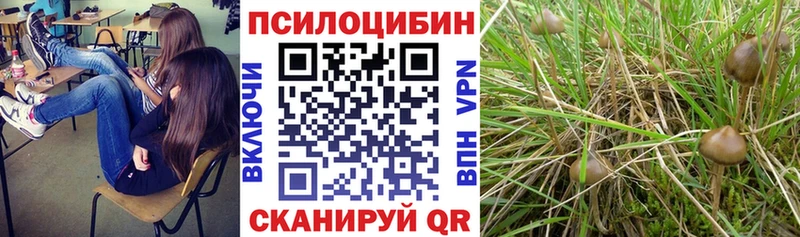 гидра   где можно купить наркотик  Знаменск  Галлюциногенные грибы ЛСД 