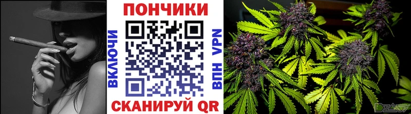 купить  цена  Знаменск  Бошки марихуана план 